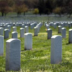 Review Special Price George Washington'S Mount Vernon And Arlington National Cemetery Tour