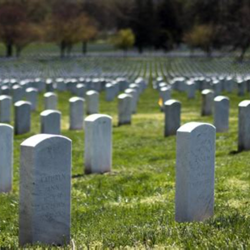 Review Special Price George Washington'S Mount Vernon And Arlington National Cemetery Tour