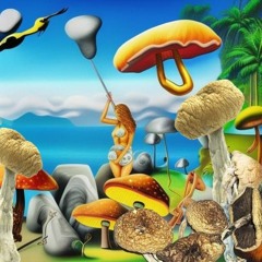 tROEBEL in PARadISe