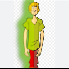 Shaggy.m4a