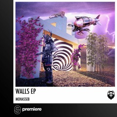Premiere: Mohasseb - Walls - Leisure Music Productions