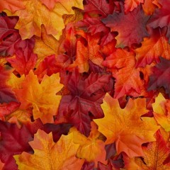 DEEP LIQUID DRUM & BASS AUTUMN 23