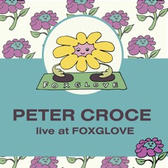 Peter Croce Live at FOXGLOVE