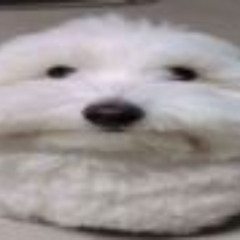 thx for crashing serato