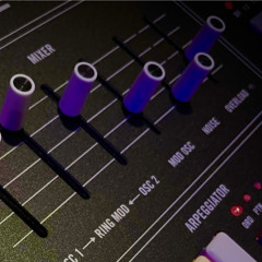 Muse One - moog dub
