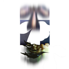 Laceration (wound experiment)