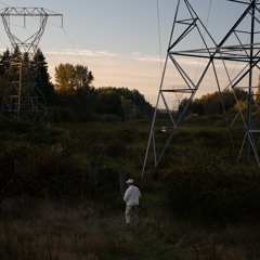 DEAD WRONG [SUITCASE]