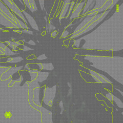 [PREMIERE] Viiaan - Aleatory (RUTA)