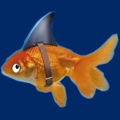 gold fish prod blaze