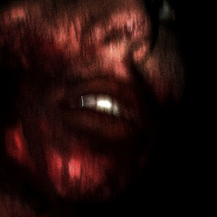 see me prod.pjx5