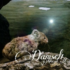 Damsel1(vocaledit)