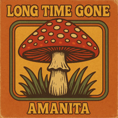 Long Time Gone (by Amanita) - remastered