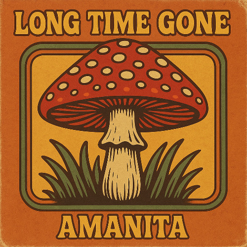 Long Time Gone (by Amanita) - remastered