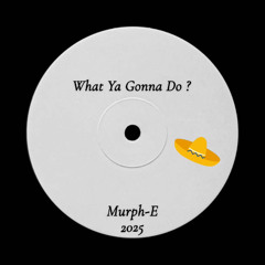 Murph-E - What Ya Gonna Do [FREE DL]