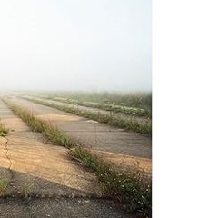 [PDF@] [Downl0ad] Airport Landscape: Urban Ecologies in the Aerial Age (Harvard Design Studies)