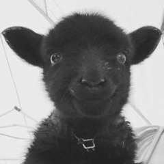 ロック・リーBlack sheep@MaijrScale@TheYYYSyndicate@TVHBTL@YSL@OWS@GYB