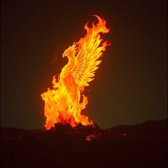 Flesh and Fire