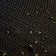 身為愛的罪人我選擇了離開