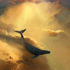 Slow Whale