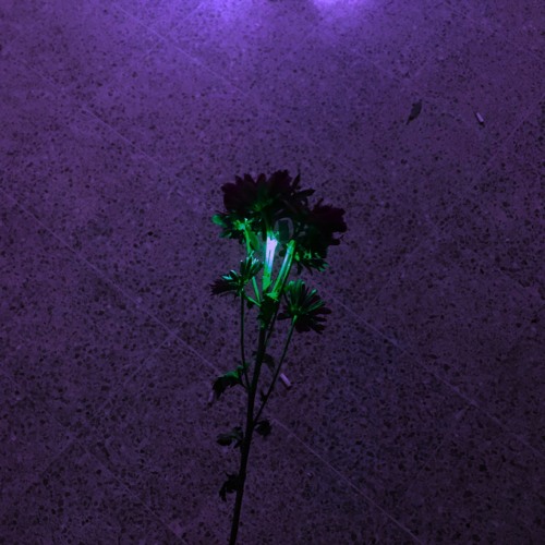 gin (free dl)