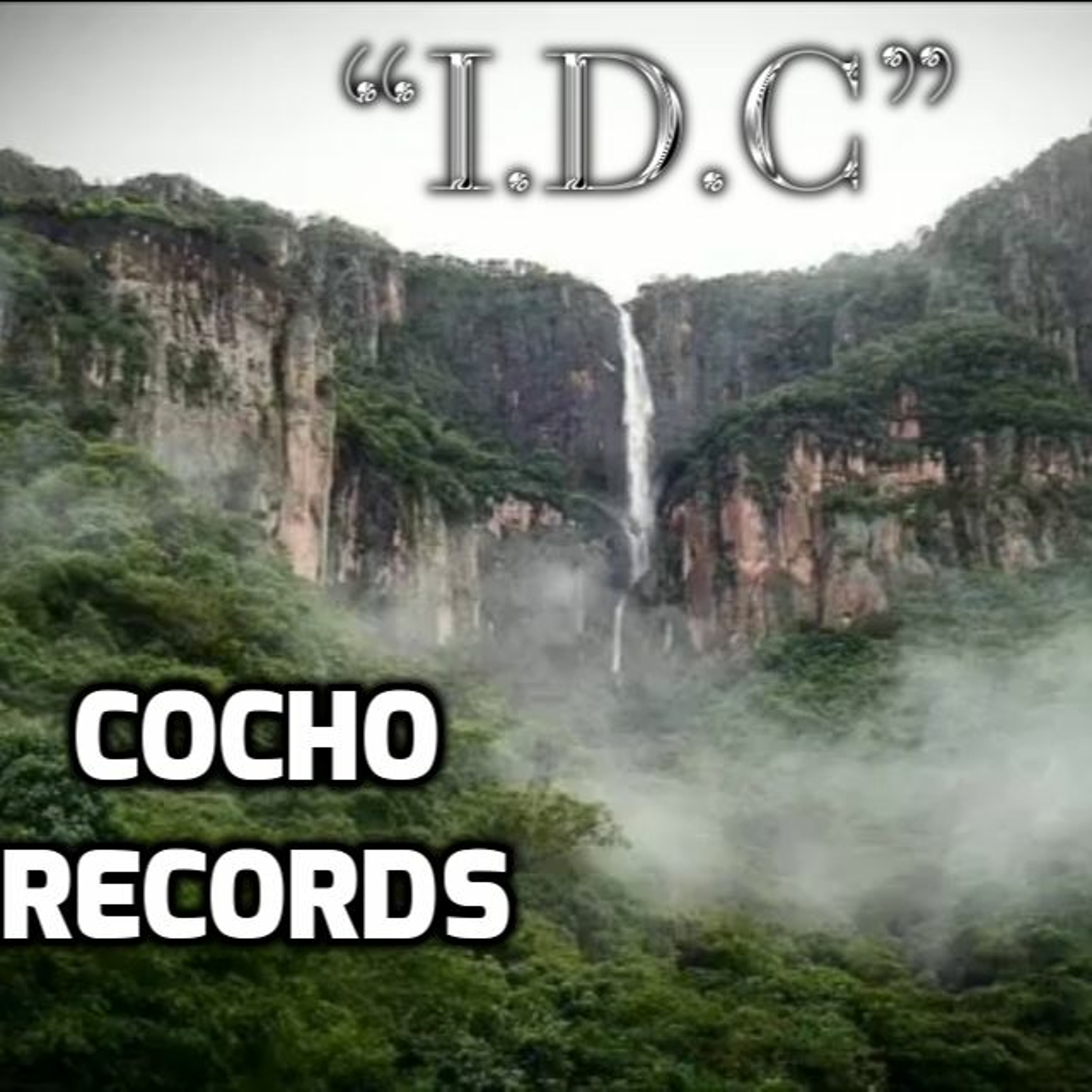 IDC episode artwork