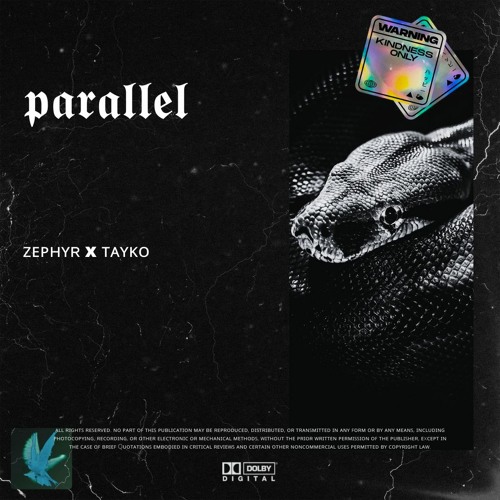 parallel w/tayko