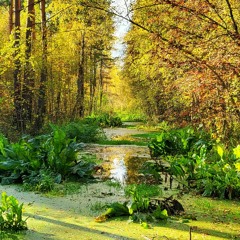 Soo - Tarmo Selter (Jäääär)