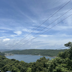 幸せの花束を - マルシィ