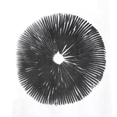 ma (間) the space in between all things — [2023-02-06]