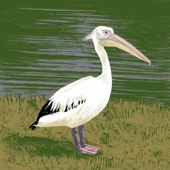 House Groovy 25.10.2023