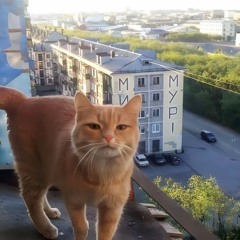 Звери - Мечтаем