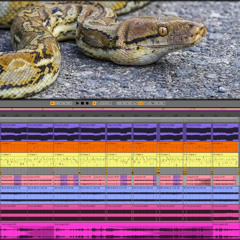 (Psychedelic-Trance-Mathematical-Dark-Hitech) Track No: 5960.