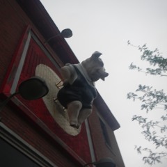 I've been feeling sick