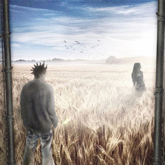 i don't want to lie to you