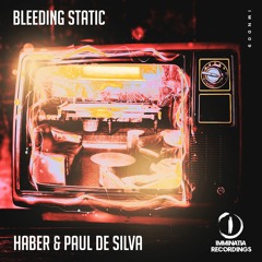 Haber & Paul De Silva - Bleeding Static [Imminatia Recordings]