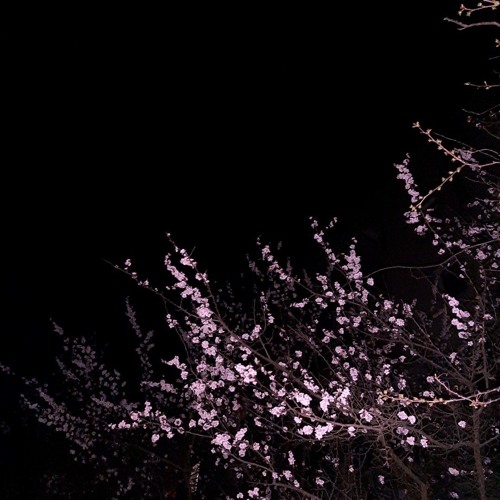 nasir - care now prod move lavan