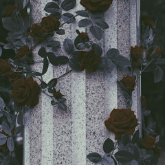 DIAMONDZ N ROSES (WHITENOIZ FLIP)