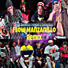 Flow Manzanillo (Remix)
