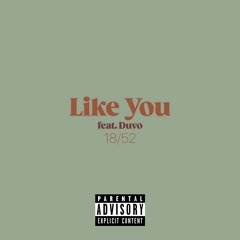 Like You feat. DuvoTheGhost