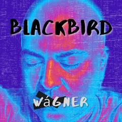 Blackbird (A Beatles Cover)