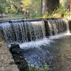 blow your mind 1 hour dua lipa