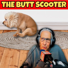 The Pet Show 04-26-25
