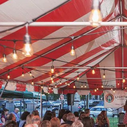 Lit Fest 2020 Salon: What's Art For?