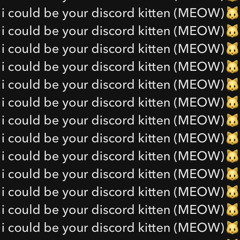 discord kitten w/ ftpsora