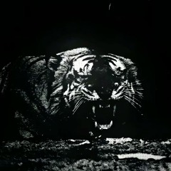 Scary Black Tiger