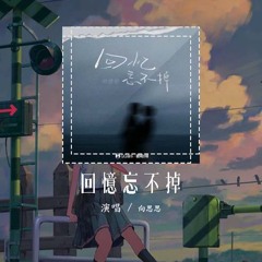 向思思 - 回忆忘不掉「我知道忘不掉 再费心都徒劳，你出现就动摇」【動態歌詞/Lyrics Video】#向思思 #回忆忘不掉 #動態歌詞