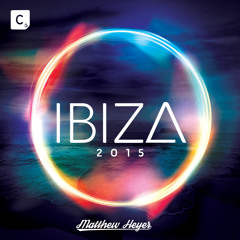 Shake It (Matthew Heyer Edit)