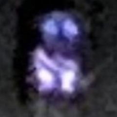 WORRIES IN DA DANCE [VOL. 1]