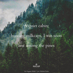 lost among the pines [naviarhaiku624]