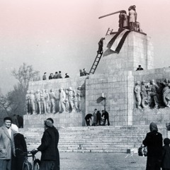 The 1956 Hungarian Revolution